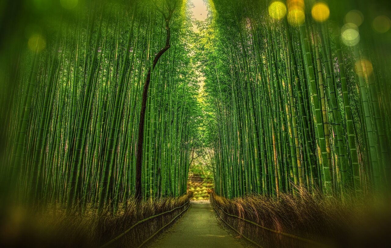 kyoto-1860521_1280.jp