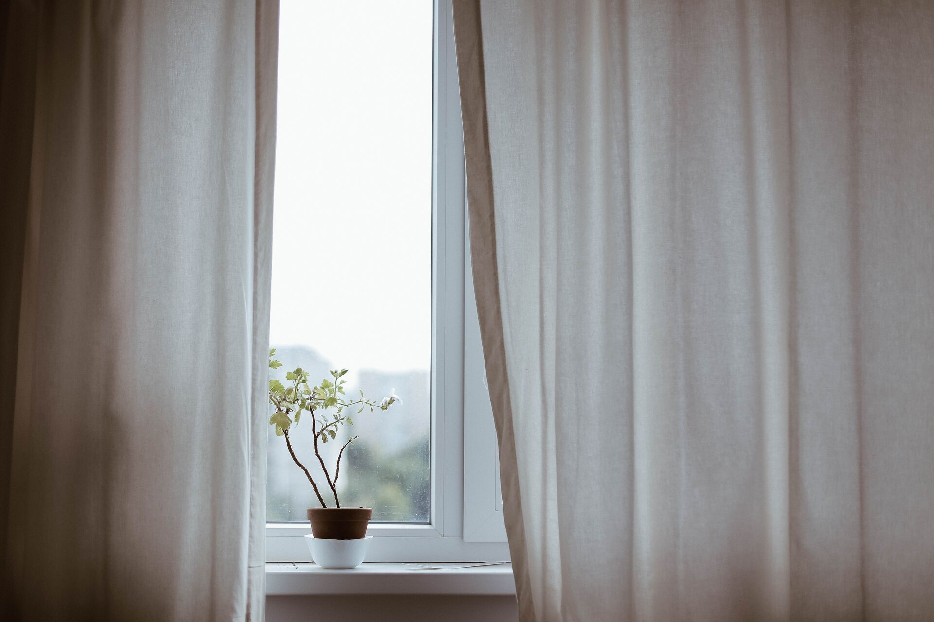 pexels-curtains-1854110.jp